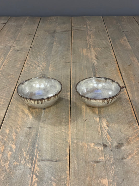 2x bowl shiny gray